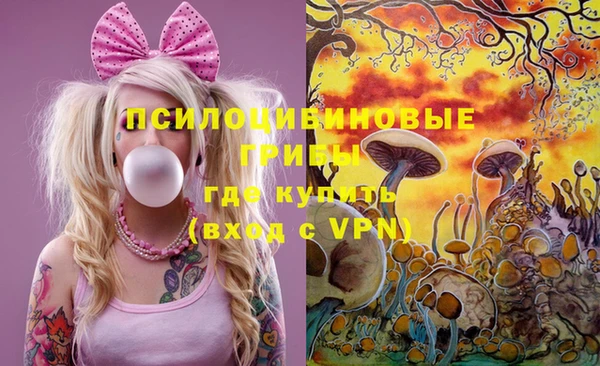 дживик Аркадак