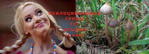 дживик Аркадак