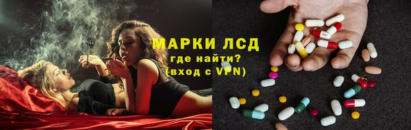 дживик Аркадак